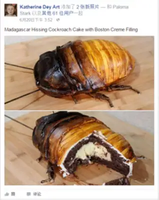 The sound of Malagasy cockroaches