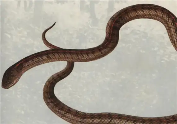 Hot spring snake identity information