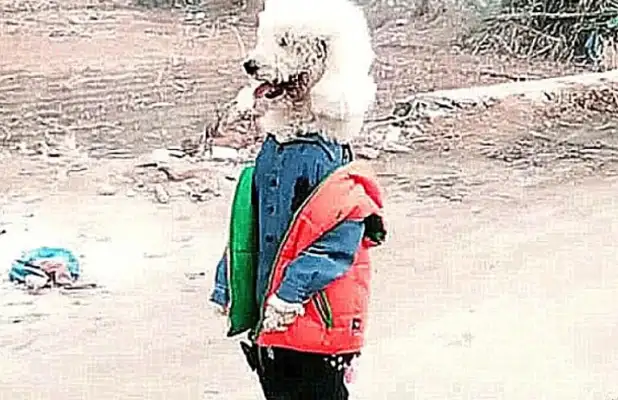 I ran into a kid on the street, crawling with white dog hair, curious about the other side, and a heartache