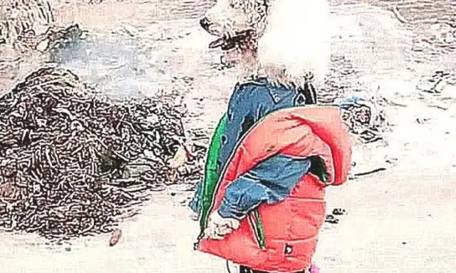 I ran into a kid on the street, crawling with white dog hair, curious about the other side, and a heartache