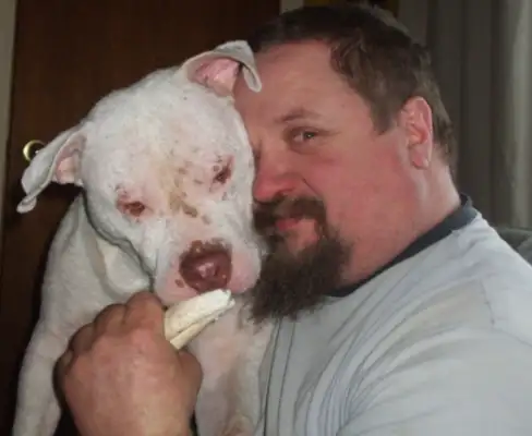 A man who's afraid of paying a dog for a cure is touched by the fact that he's making love for himself