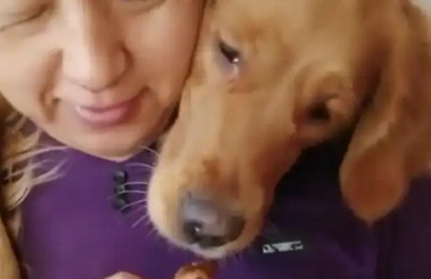 It's the first time I've seen a dog like this