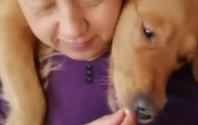 It's the first time I've seen a dog like this