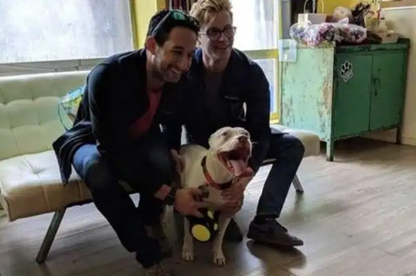 Every day after the adoption of the Mobdog, he looked at his master