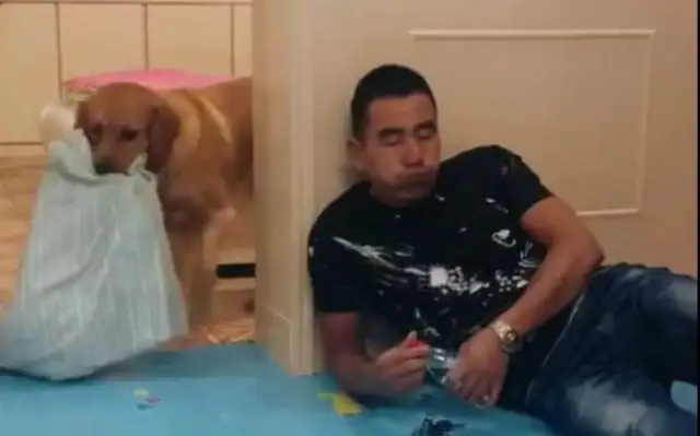 The master came home drunk, with golden water and blankets, and was a dog god