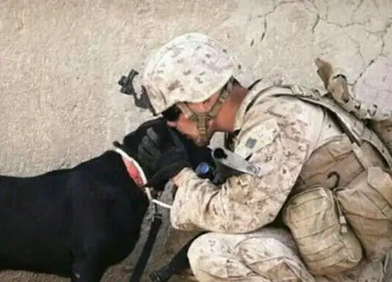 Who would have thought of a dog who'd be on the American hero list