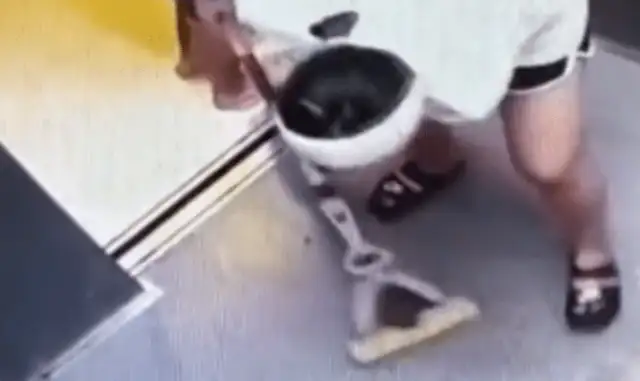 Shen Yang's pet dog is easy in the elevator. It's a comforting practice