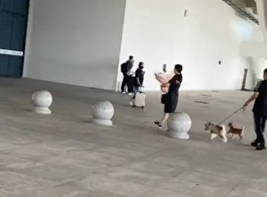 The couple brought two dogs to pick up their sons and girlfriends and brought flowers and warm and loving