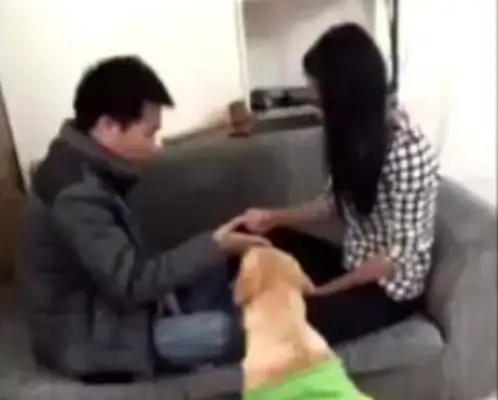 When I saw the master with a hammer, I hammered the lady. The dog was in a hurry