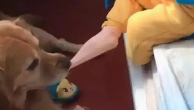 The little master is going to sleep, and golden hair is taking off her socks and washing her feet