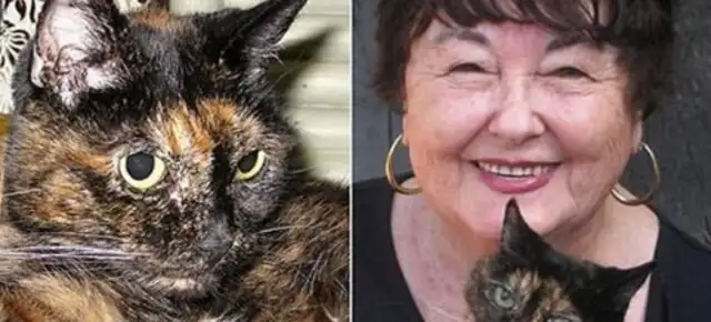 The oldest cat in the world celebrates his 27th birthday