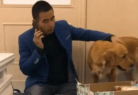 The master and the golden hair are breaking the delivery