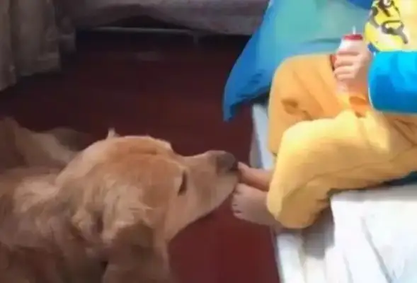 The little master is going to sleep, and golden hair is taking off her socks and washing her feet