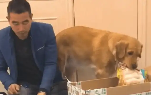 The master and the golden hair are breaking the delivery
