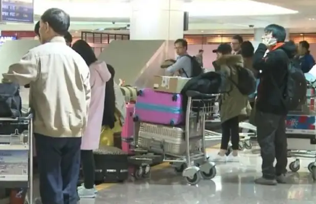 The woman who was denied access to the U.S. with a dog has lost control. Clothes