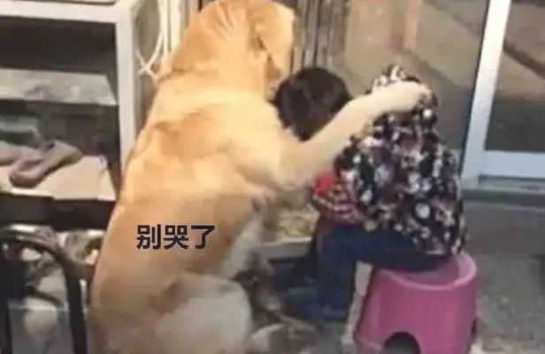 The little master didn't finish her work, and my mother taught the kids how to cry. People