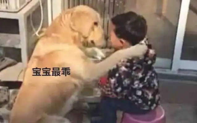 The little master didn't finish her work, and my mother taught the kids how to cry. People