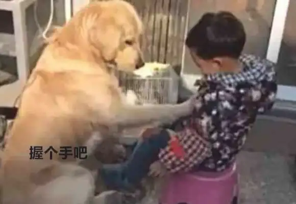 The little master didn't finish her work, and my mother taught the kids how to cry. People