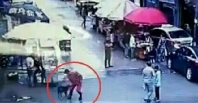 Guizhou hounds bit 23 people in 2 hours and were hit by police rods. Kill