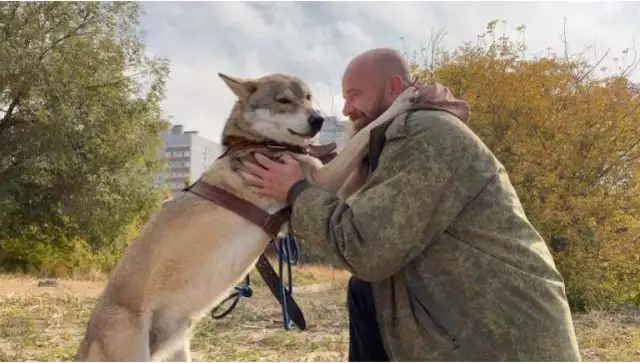 The wolf's nest was taken away, a wolf led home as a dog and discovered the potential of a sniffer dog