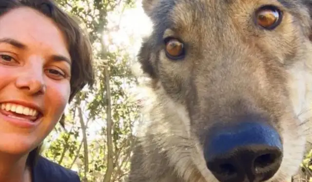 He had a dog at his house and was expelled after being told it was a wolf, and then two years later he was crying