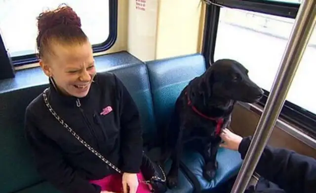 The pet dog thinks the owner smokes too slow and takes the bus to the park alone