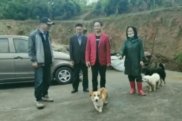Be the Buddha of Sana'a: she was alone and had 180 stray dogs in 18 years..