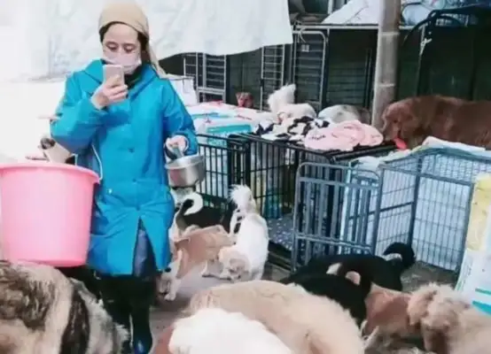 Be the Buddha of Sana'a: she was alone and had 180 stray dogs in 18 years..