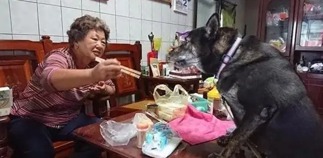 Grandma's babysitting the dog, she's being stopped by her daughter, and she's saying, "I won't let you try it on Monday."