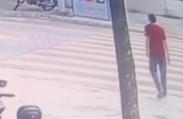 Scared the kid. The dog raises public outrage without a rope