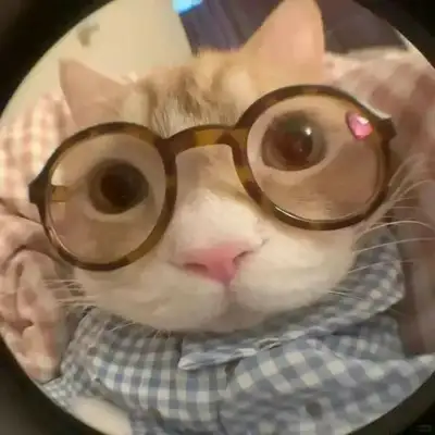 Don't freak out! The doctor's hand taught you how to judge the cat from the vomit color