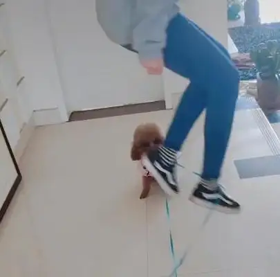 The master's got a leash, Teddy's been arrested and he's playing with him