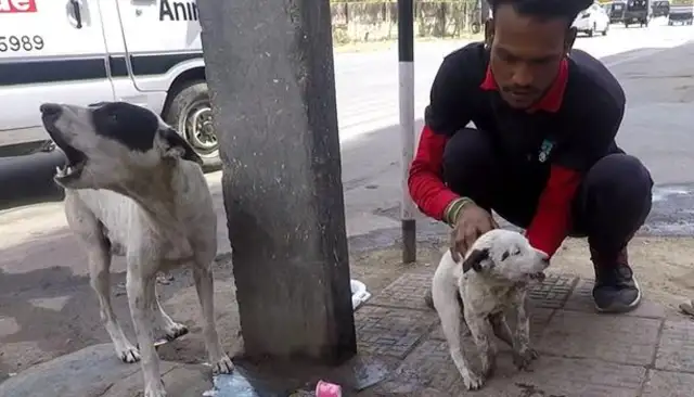 She's on the street looking for help, and she's lying on her feet