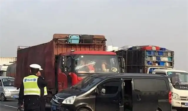 Weinzhou's dog-loved dog-driving farce