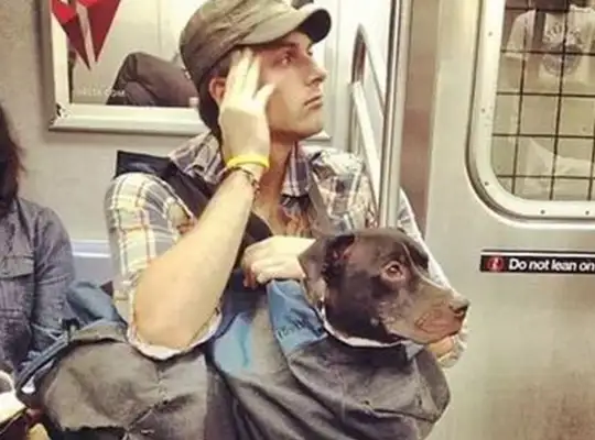 To get a dog on the subway, the shit-popping officers are out