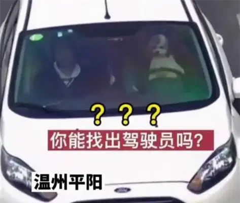 Weinzhou's dog-loved dog-driving farce