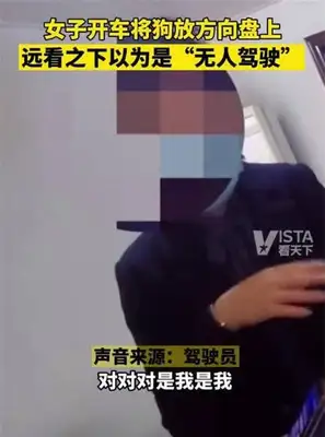 Weinzhou's dog-loved dog-driving farce