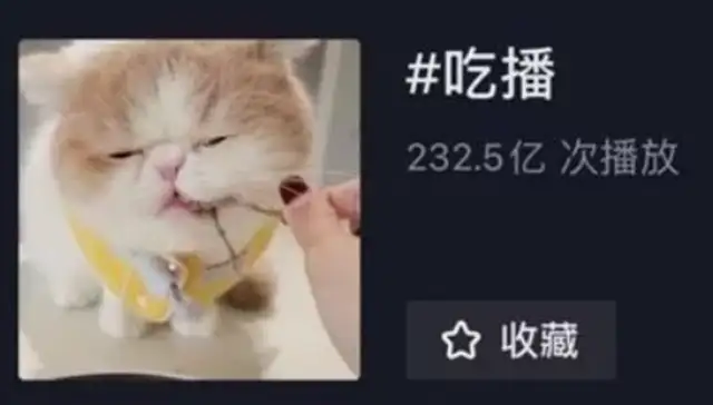 What kind of business is a dog eating steak, a cat eating lobster