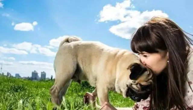It's good to have a dog, not only to accompany the child, but also to cure