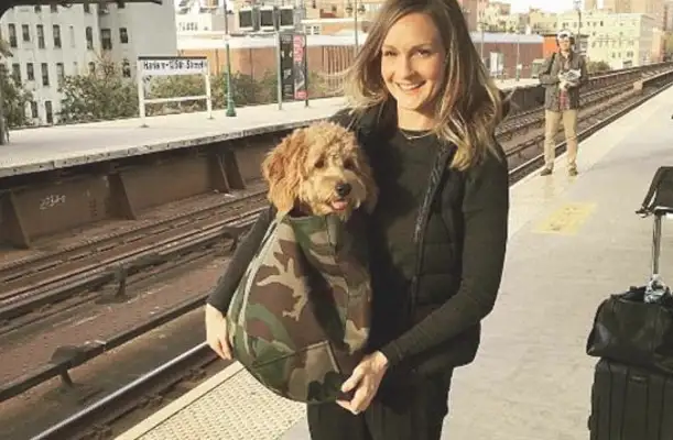 To get a dog on the subway, the shit-popping officers are out