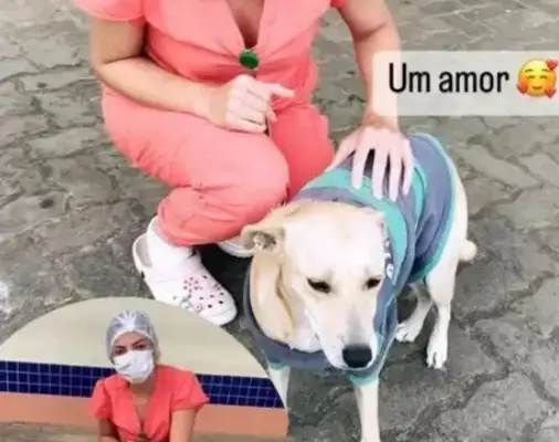 (a) The homeless were hospitalized and were waiting for more than 20 days in front of the dog hospital and finally met #8230;