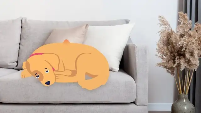 Dog cancer: symptoms, causes and treatments