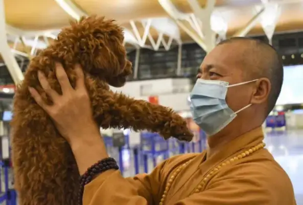 Saved more than 5,000 stray dogs in 27 years. The monks have no time to read