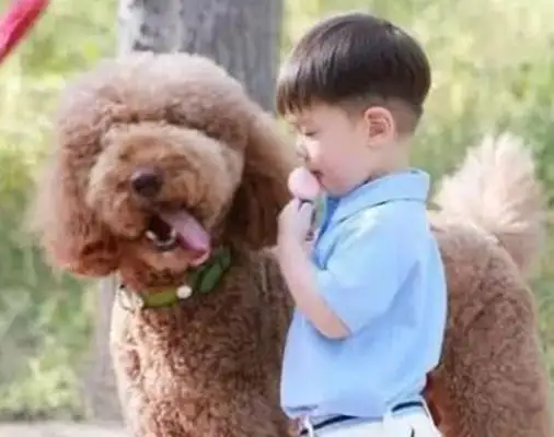 It's good to have a dog, not only to accompany the child, but also to cure