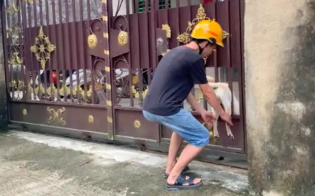 The dog is stuck in the door. The roadman is helping with the leg. That's funny