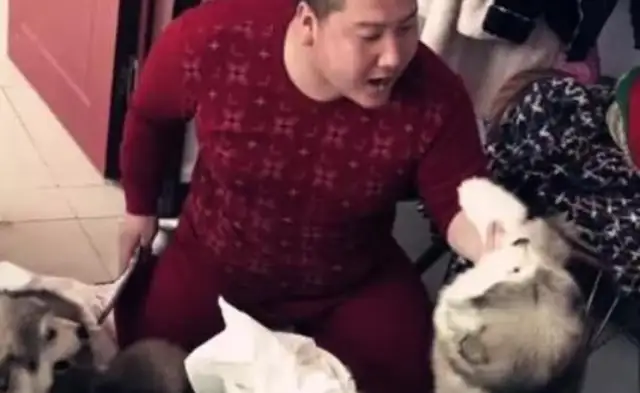 The master himself gave the dog a role model, beat himself, and laughed at the Internet