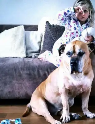 My father took pictures of my daughter and his dog in a close moment
