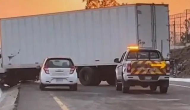 Master's car accident, life or death, save the dog