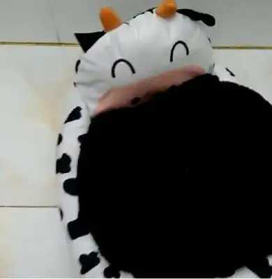 The netizens said they raised little Teddy. Turn off the lights. They didn't believe me until they saw the dog