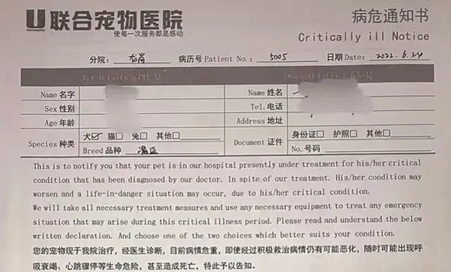 Less than 20 hours after referral, the dog died